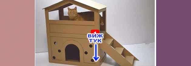 Kashta Za Kotki Ot Kashon 01