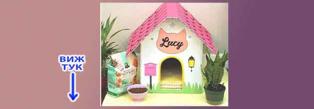 Kashta Za Kotki Ot Kashon 02