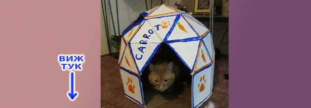 Kashta Za Kotki Ot Kashon 03