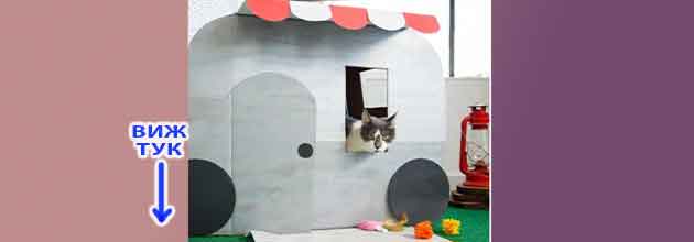 Kashta Za Kotki Ot Kashon 04